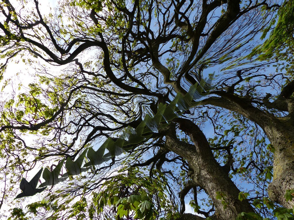 Malaysia | Open Borders: The Case