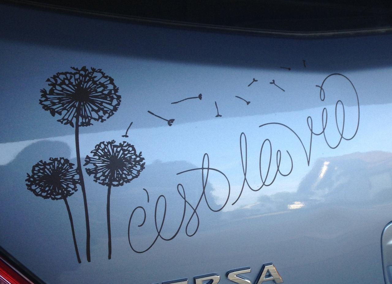 How to Make Custom DIY Car Decals