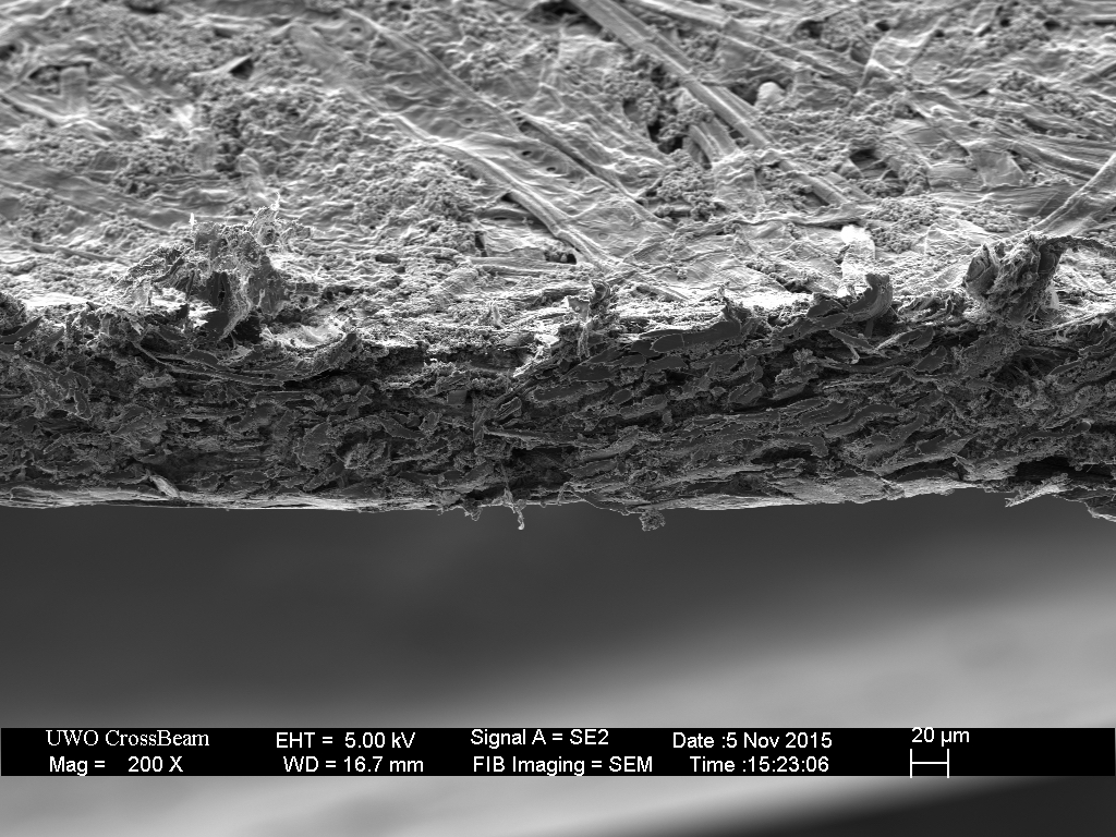 The Slice Cut – scienceofsharp The Slice Cut – scienceofsharp